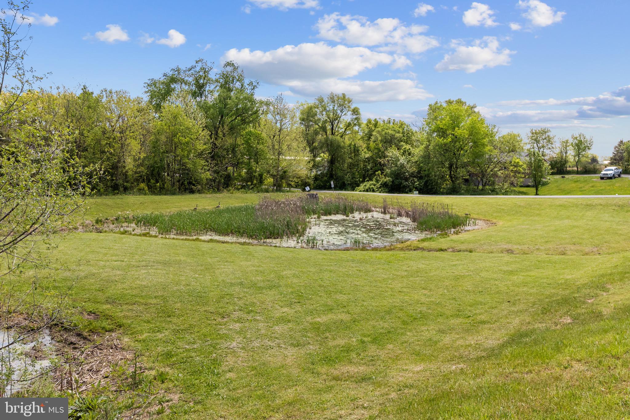 CHESSIE COURT - Residential