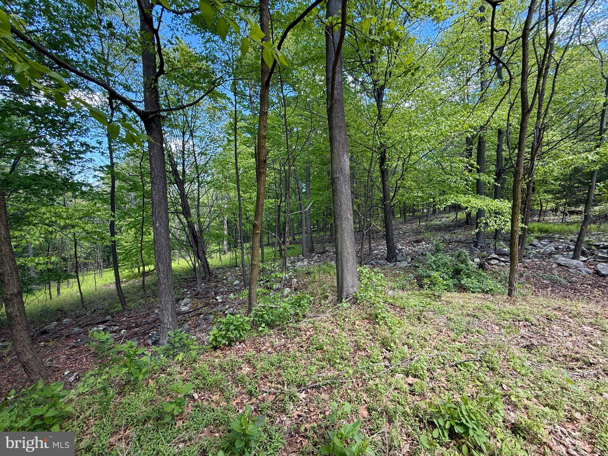 RIVER RIDGE - Land