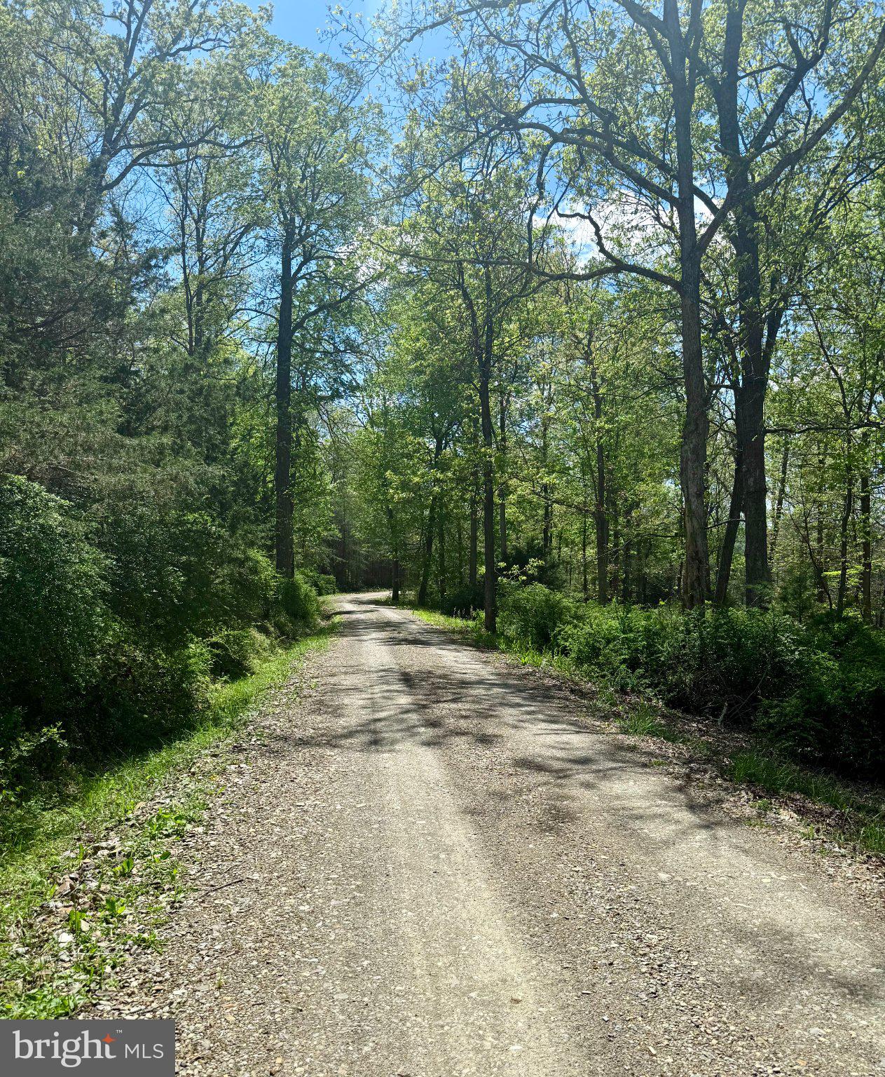 RIVER RIDGE - Land