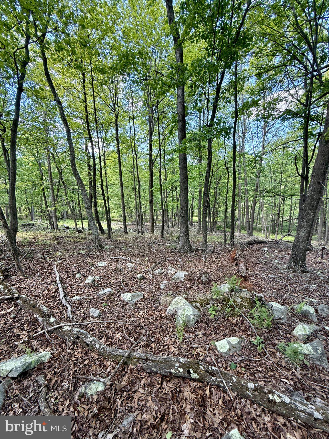 RIVER RIDGE - Land