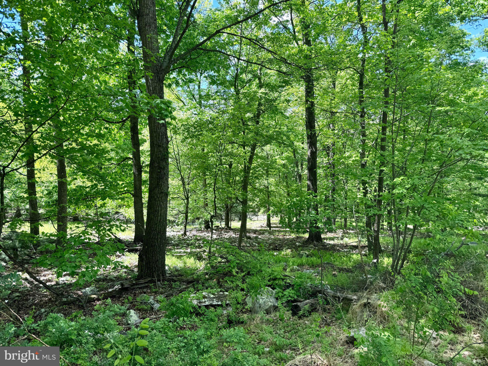 RIVER RIDGE - Land