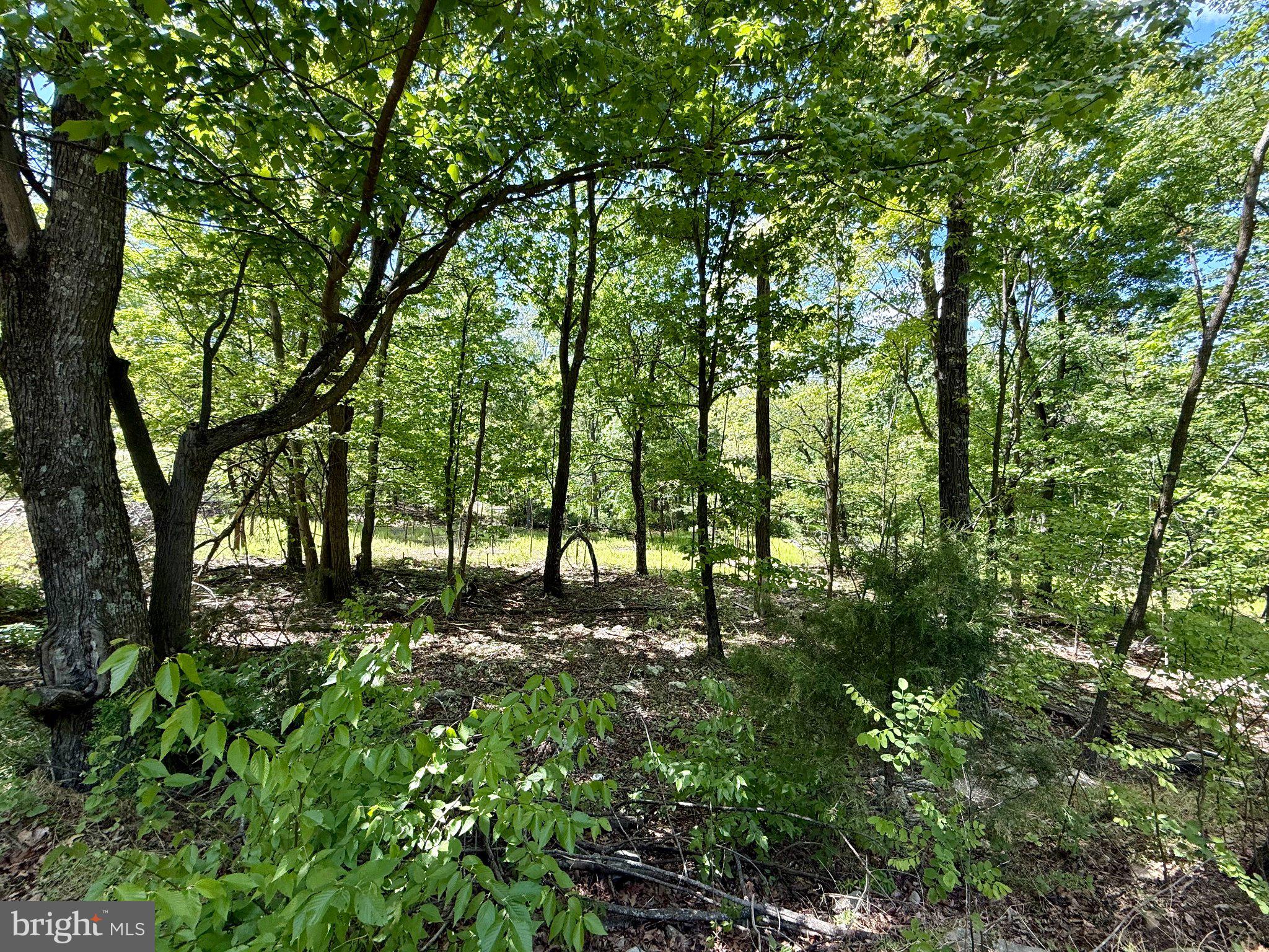 RIVER RIDGE - Land