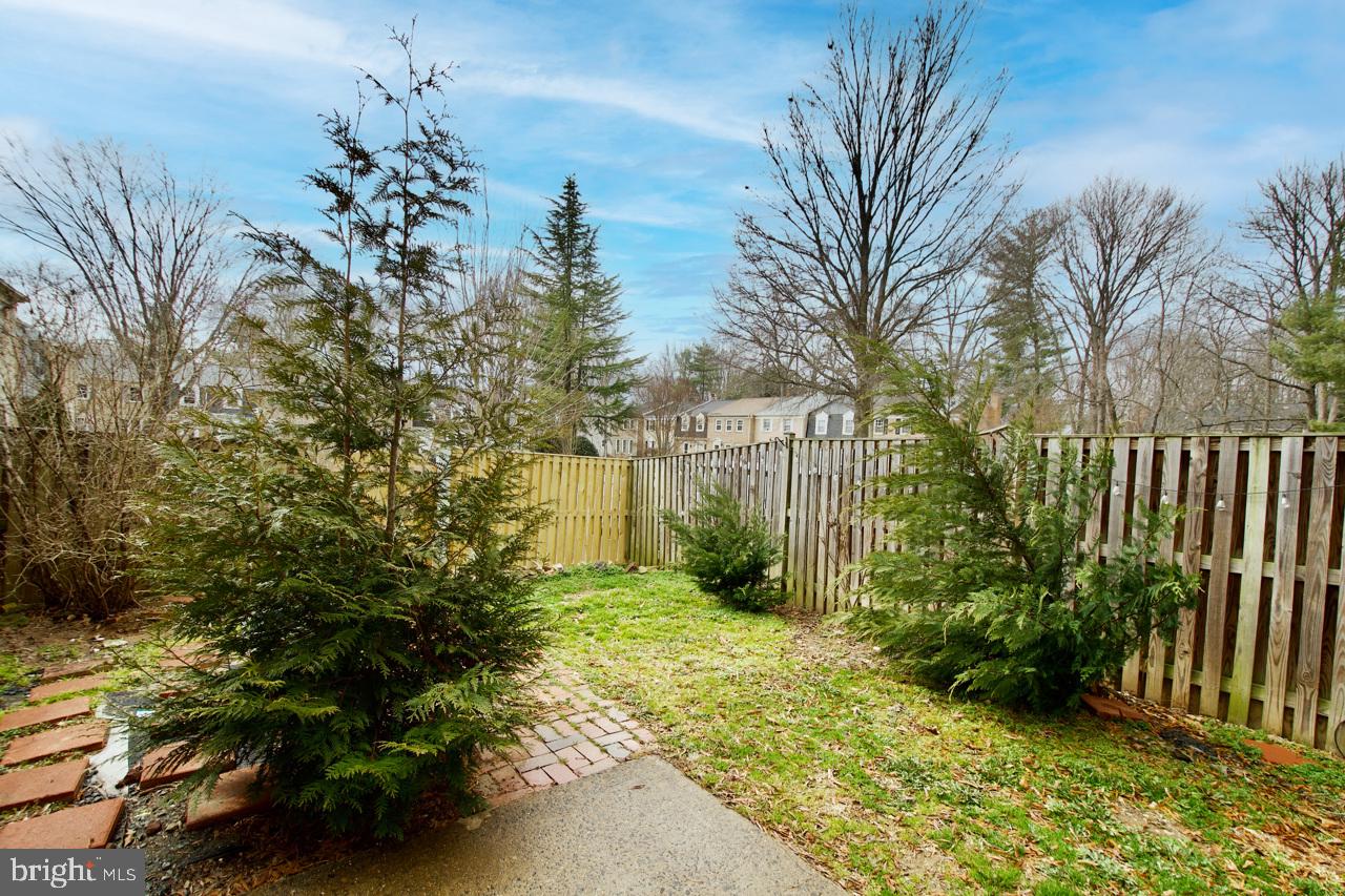 WEST SPRINGFIELD TERRACE - Residential