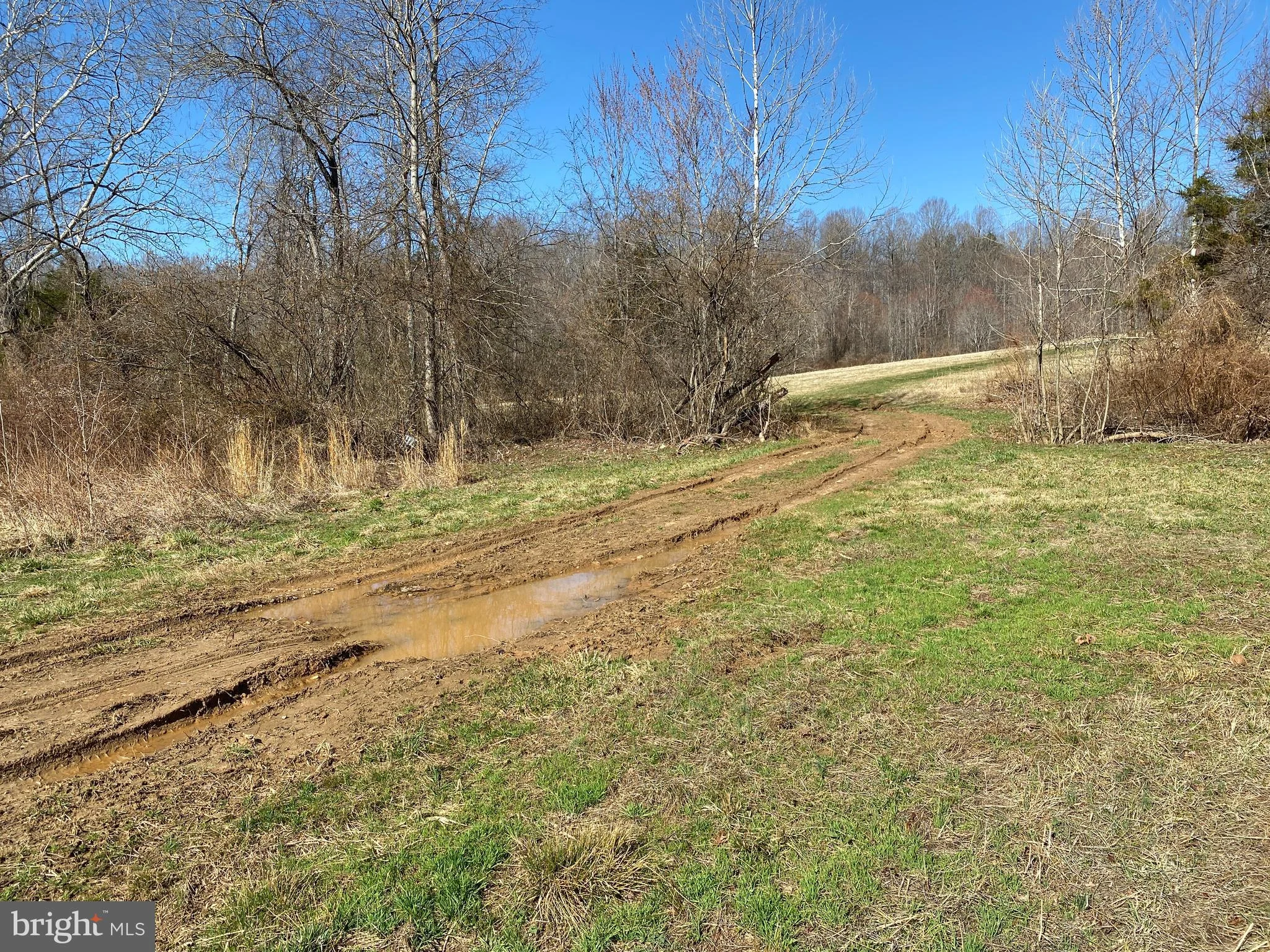 Additional image 30 of Whites Farm Lot 2 Donlon #7, Culpeper, VA 22701