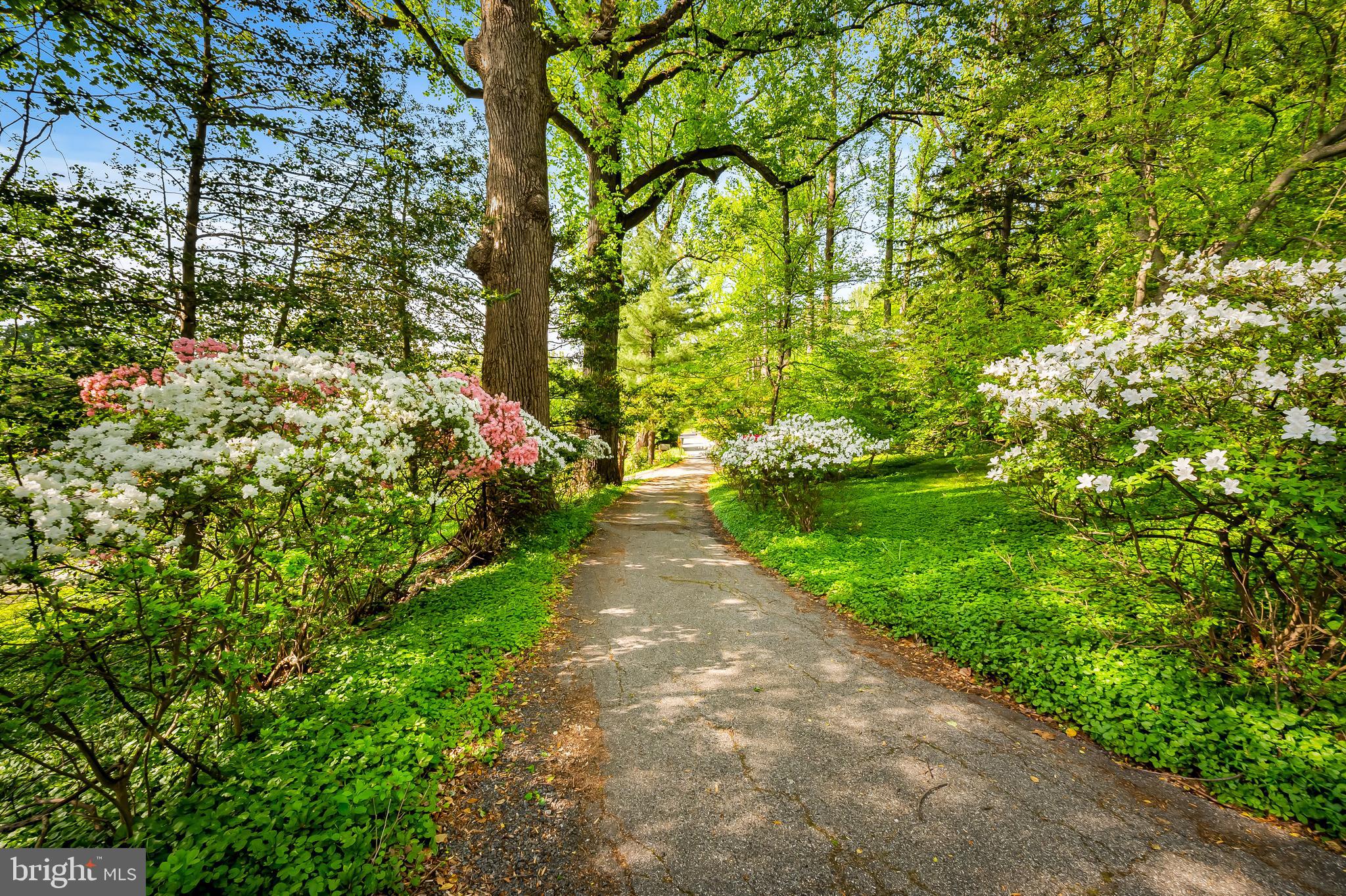 ROLAND PARK - Residential