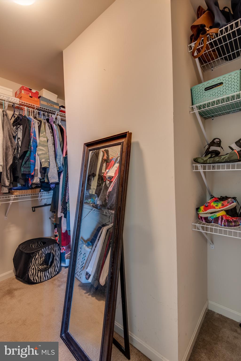 PRIMROSE PARK AT WILDEWOOD - Residential