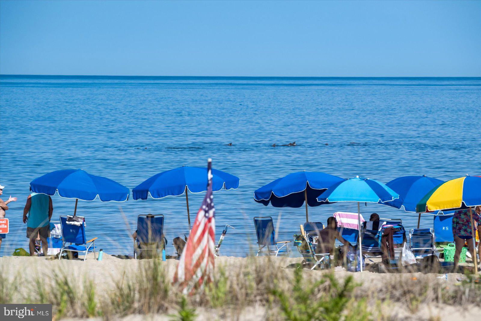 NORTH SHORES - Residential