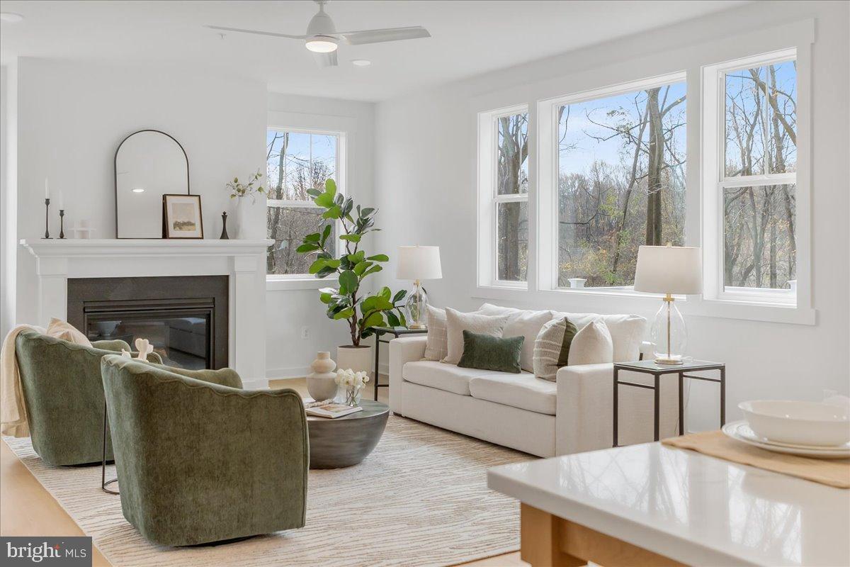 VISTAS ON CHESTNUT HILL - Residential