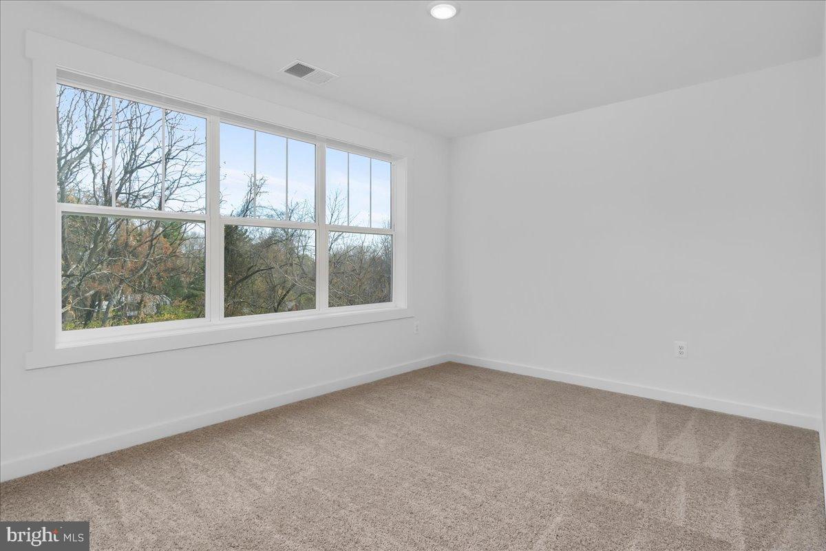 VISTAS ON CHESTNUT HILL - Residential