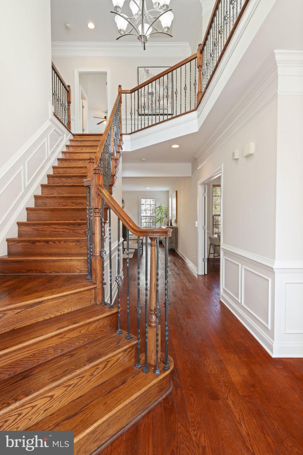 SOUTH RUN CROSSING - Residential