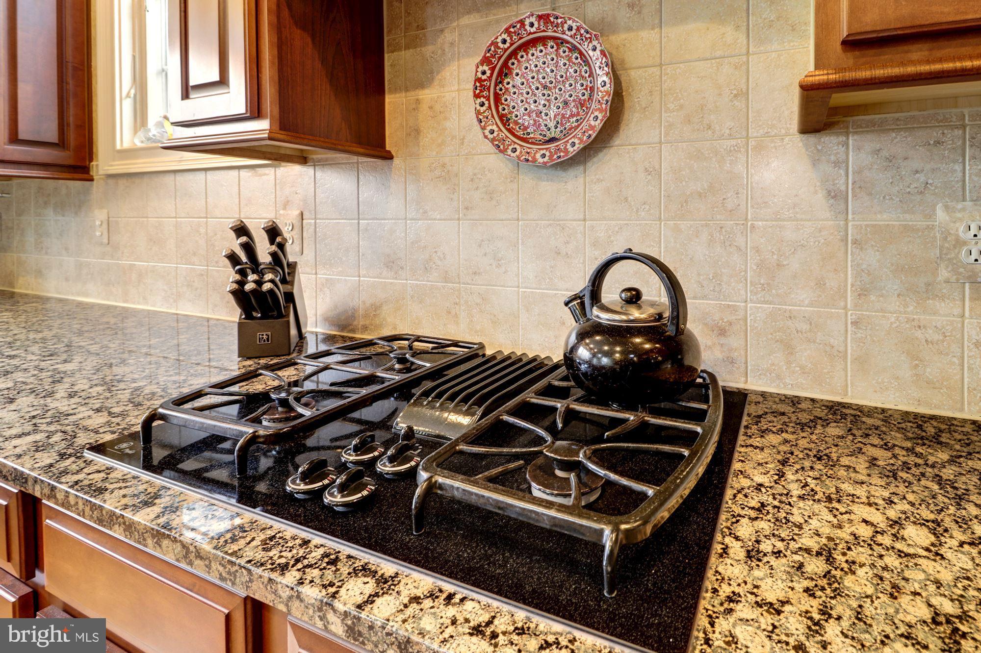 CATTAIL TRACE - Residential