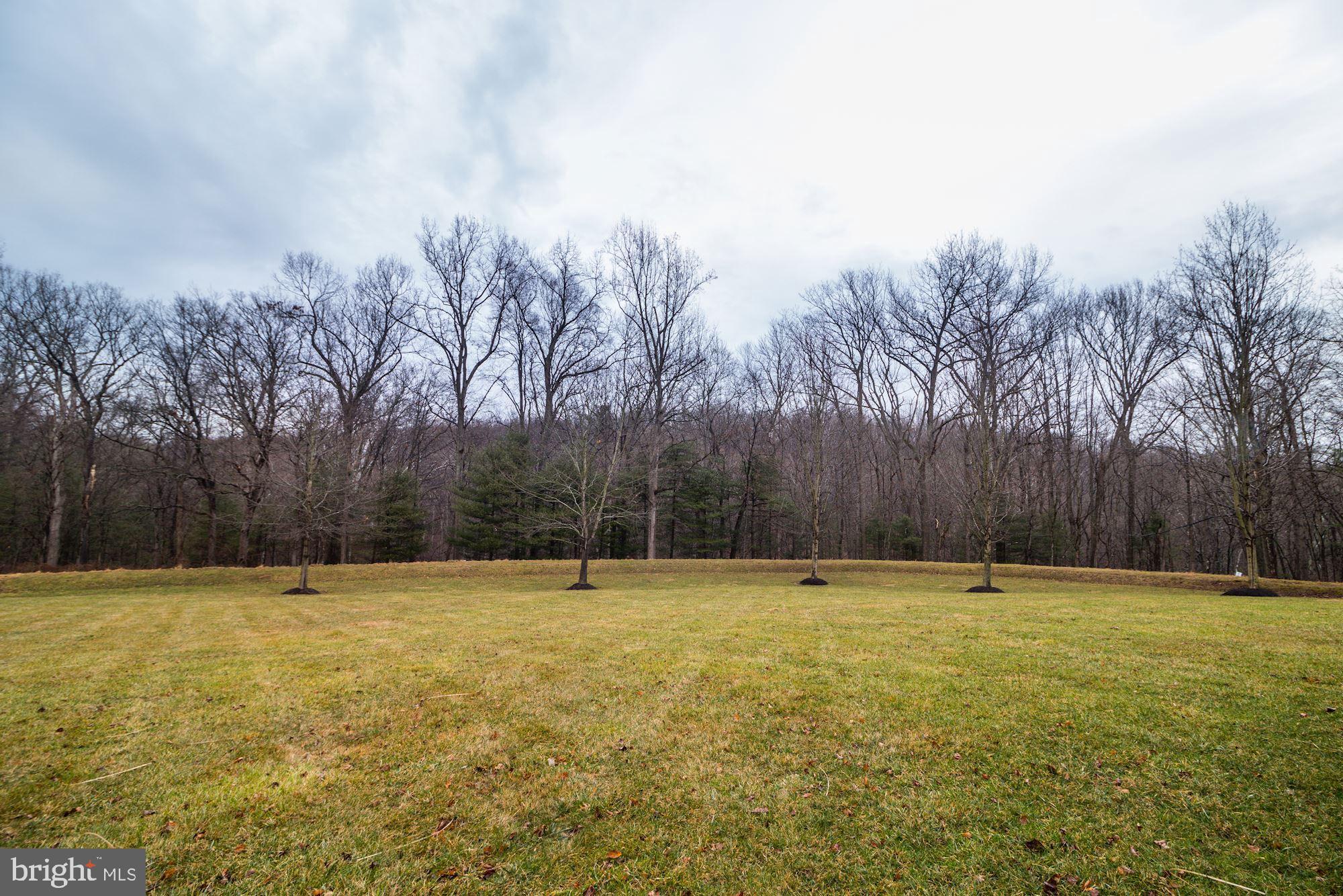 CATTAIL TRACE - Residential