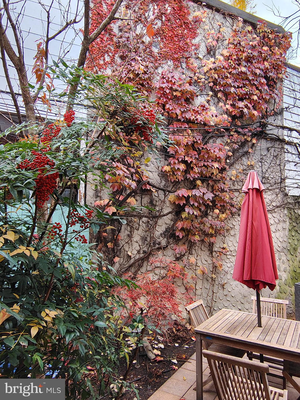 FITLER SQUARE - Residential