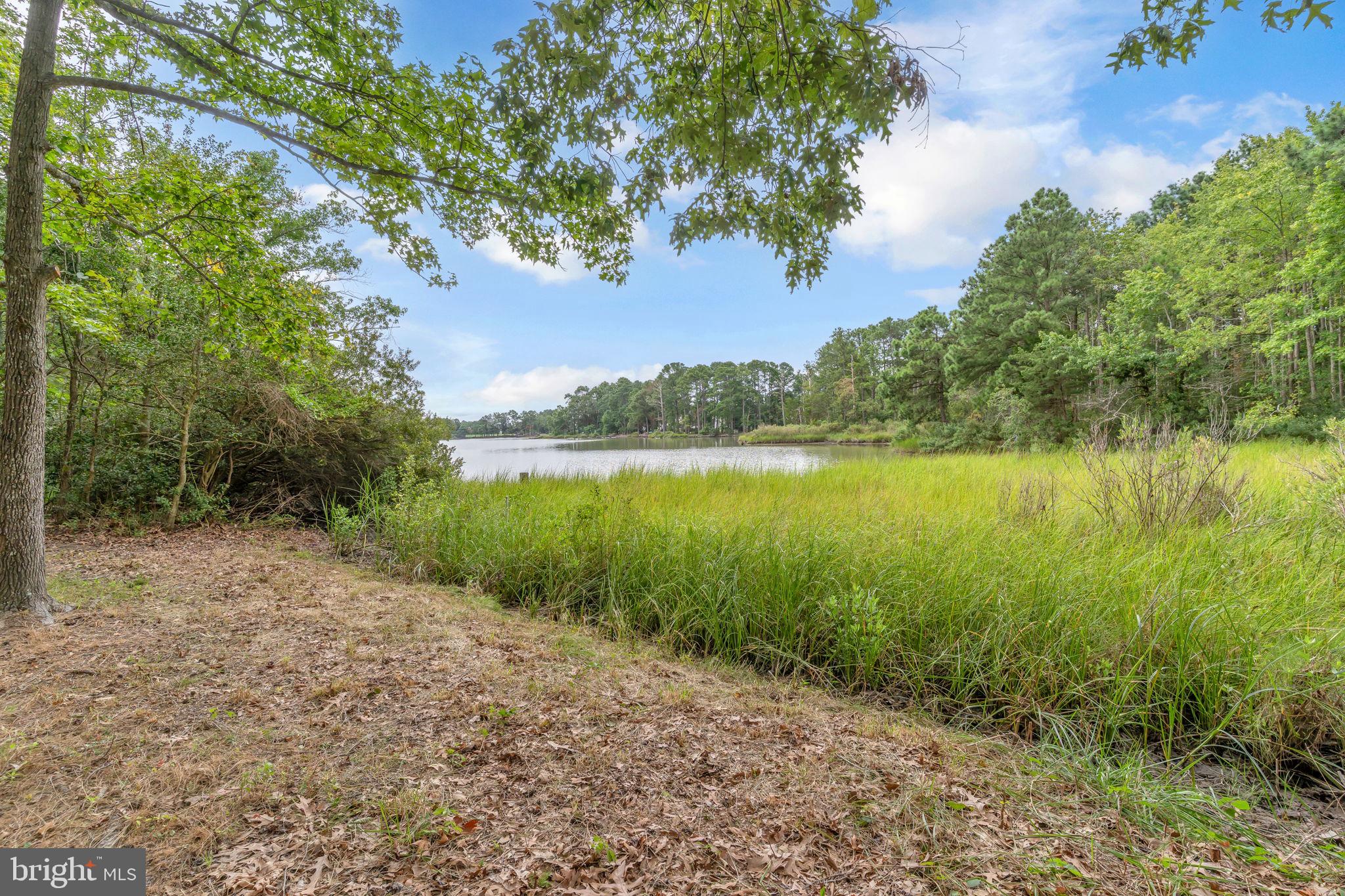 44591 SHALLOW FORD COURT