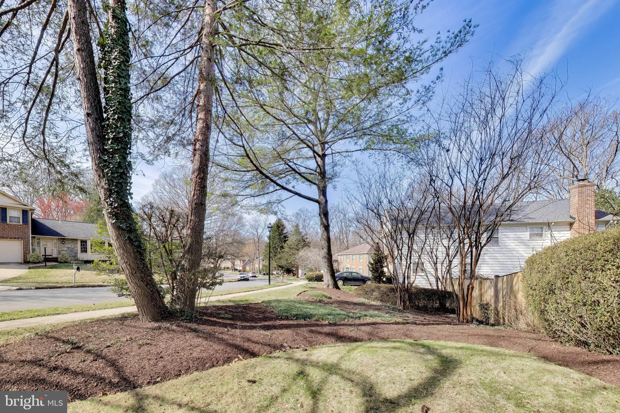 GEORGE MASON FOREST - Residential