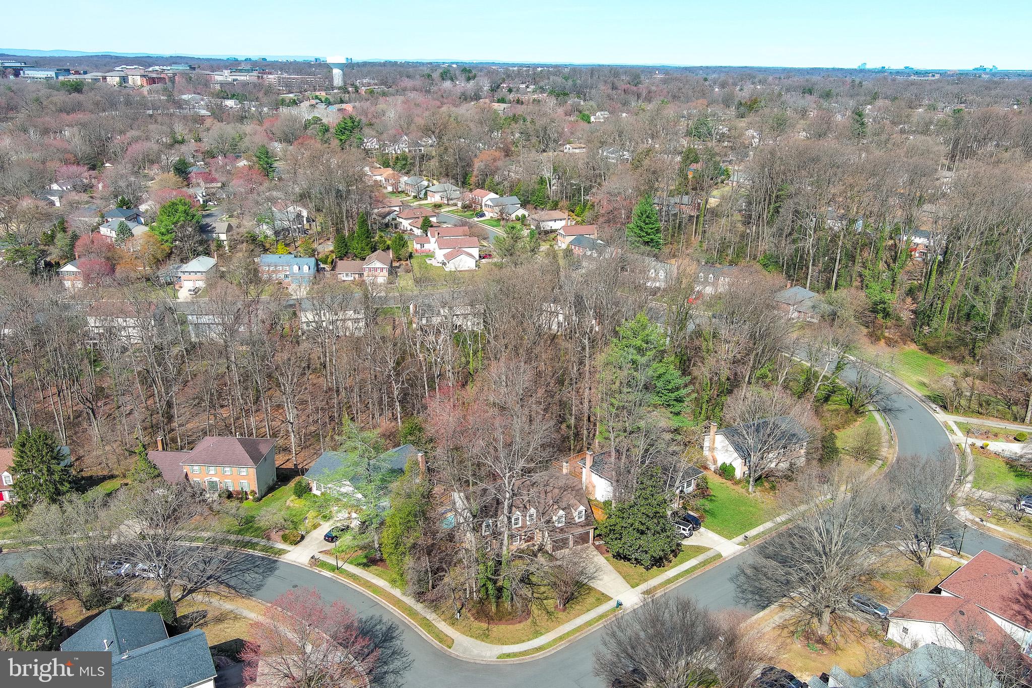 GEORGE MASON FOREST - Residential