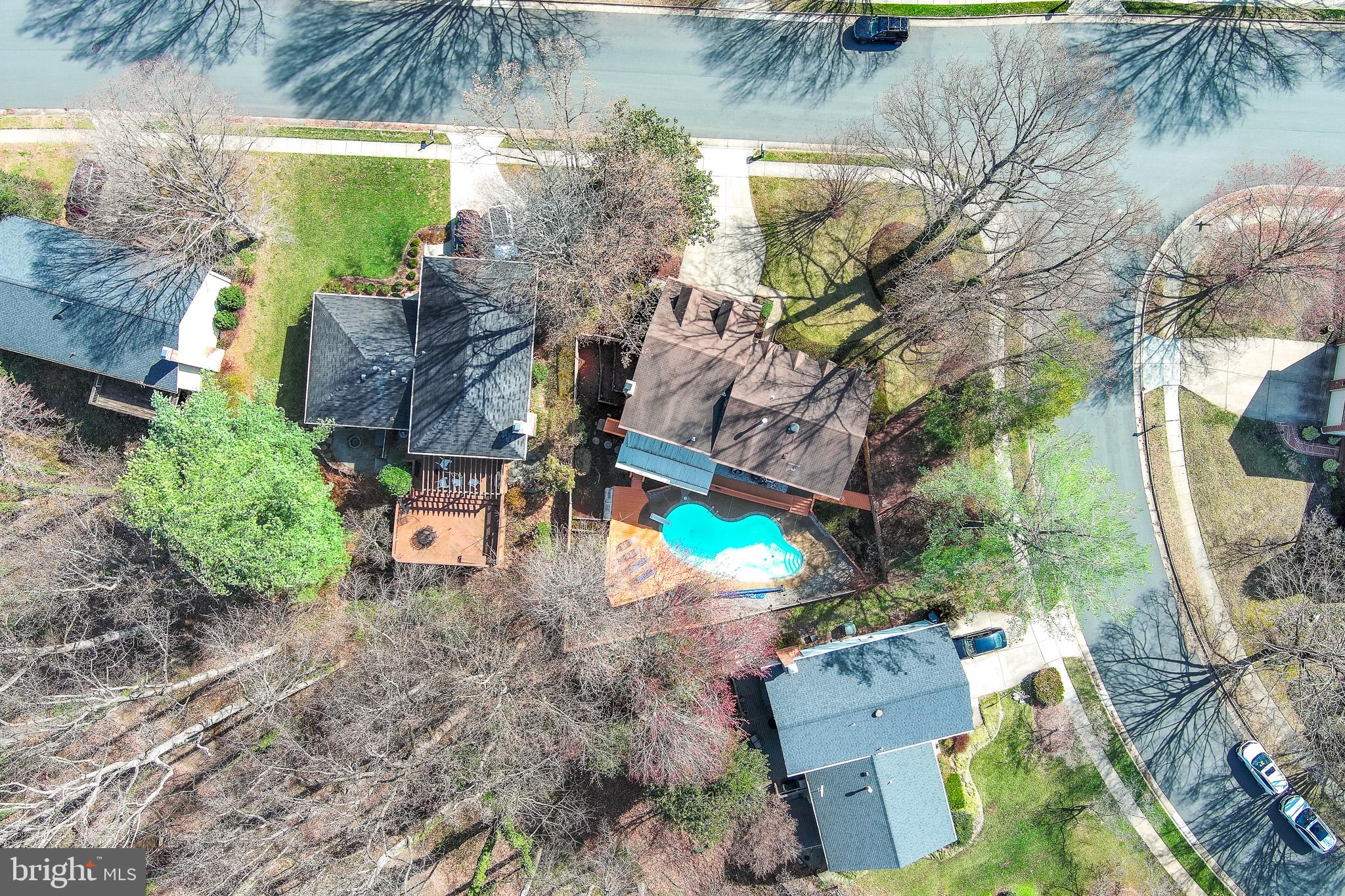 GEORGE MASON FOREST - Residential