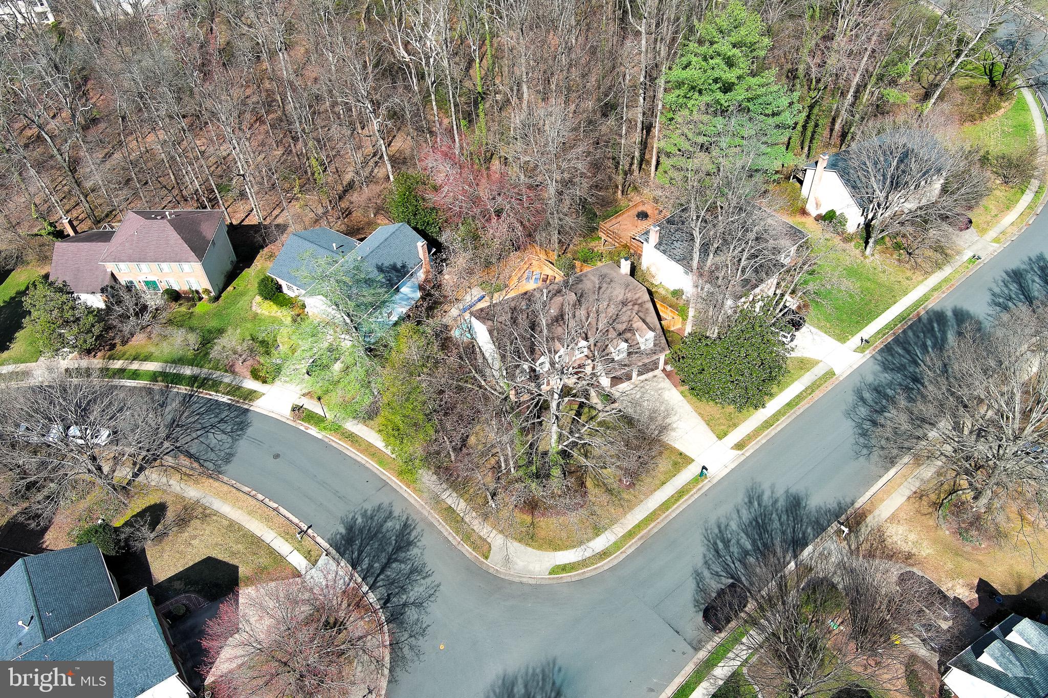 GEORGE MASON FOREST - Residential