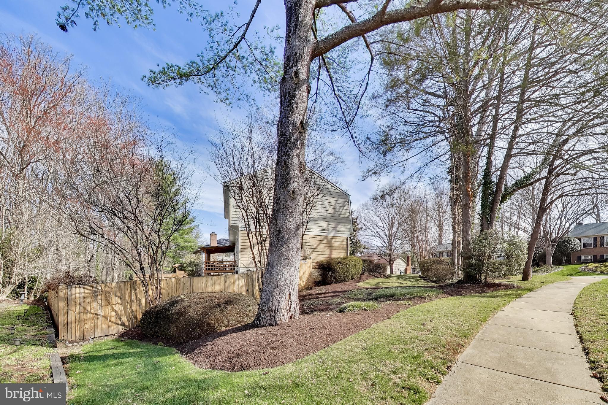 GEORGE MASON FOREST - Residential