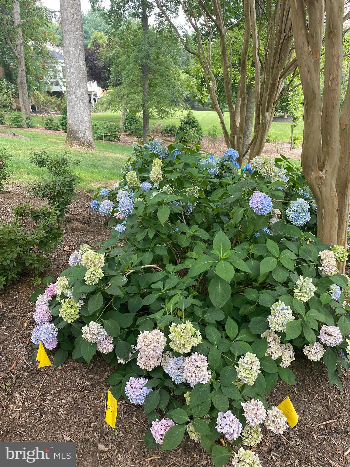 SPRINGHILL FARMS - Residential