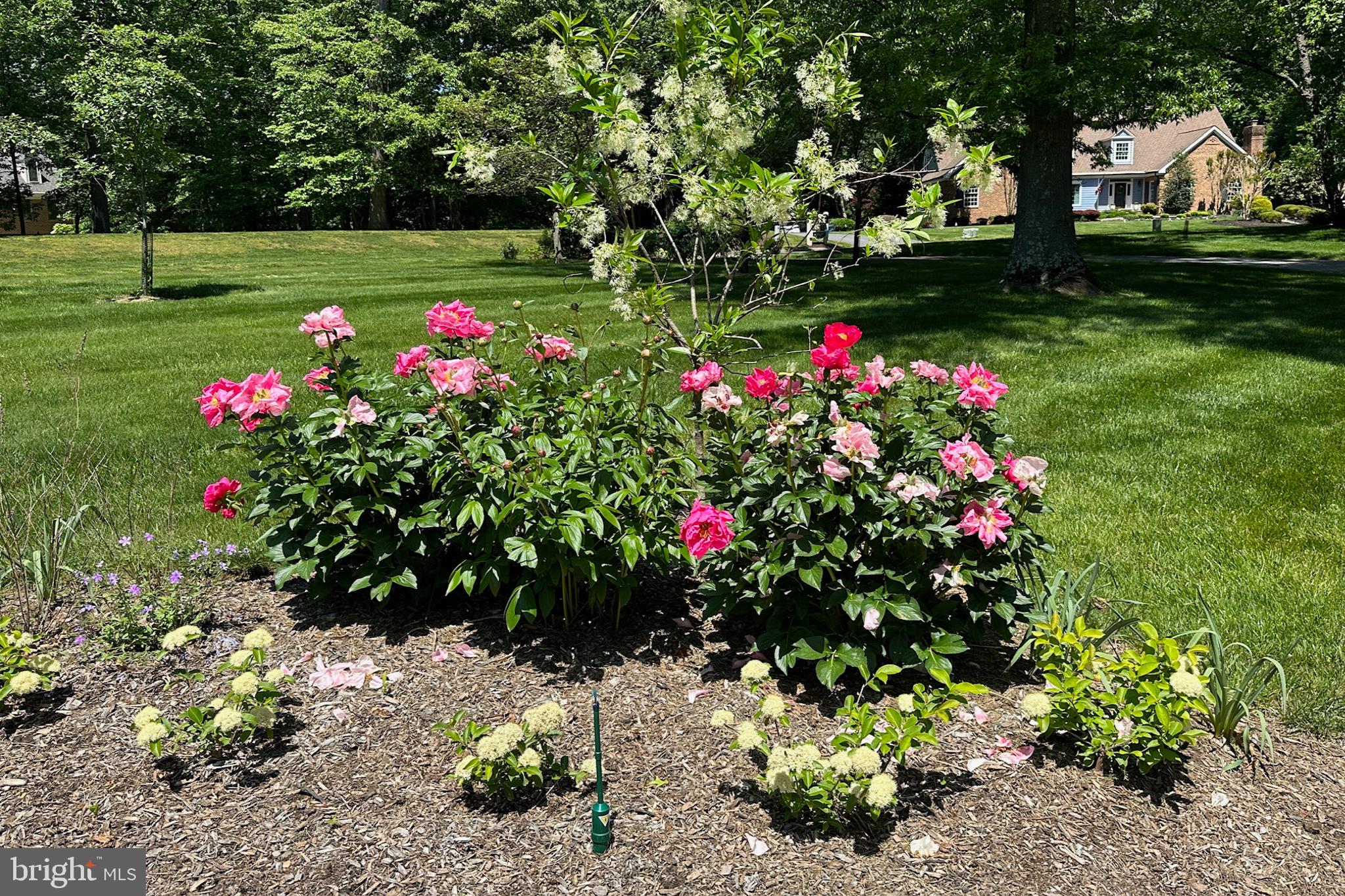 SPRINGHILL FARMS - Residential