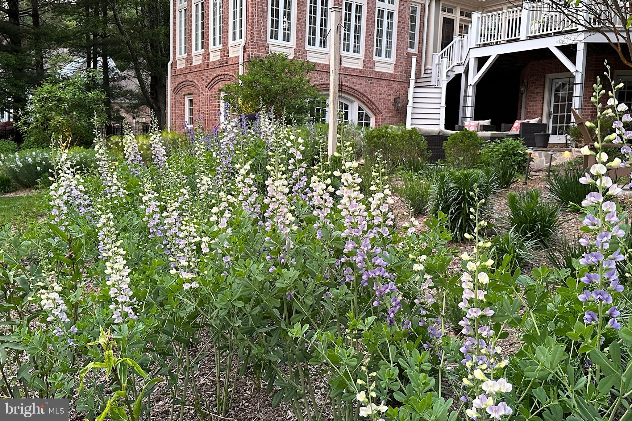 SPRINGHILL FARMS - Residential