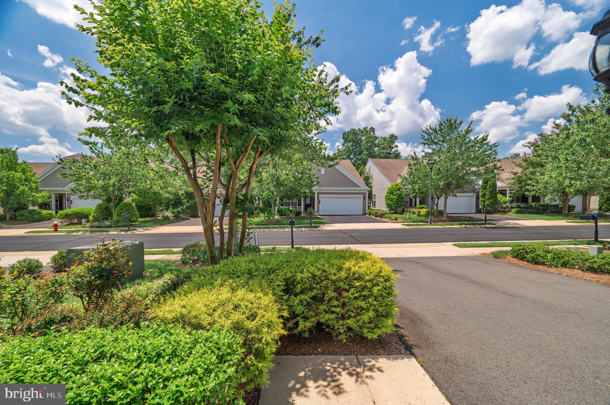 POTOMAC GREEN - Residential