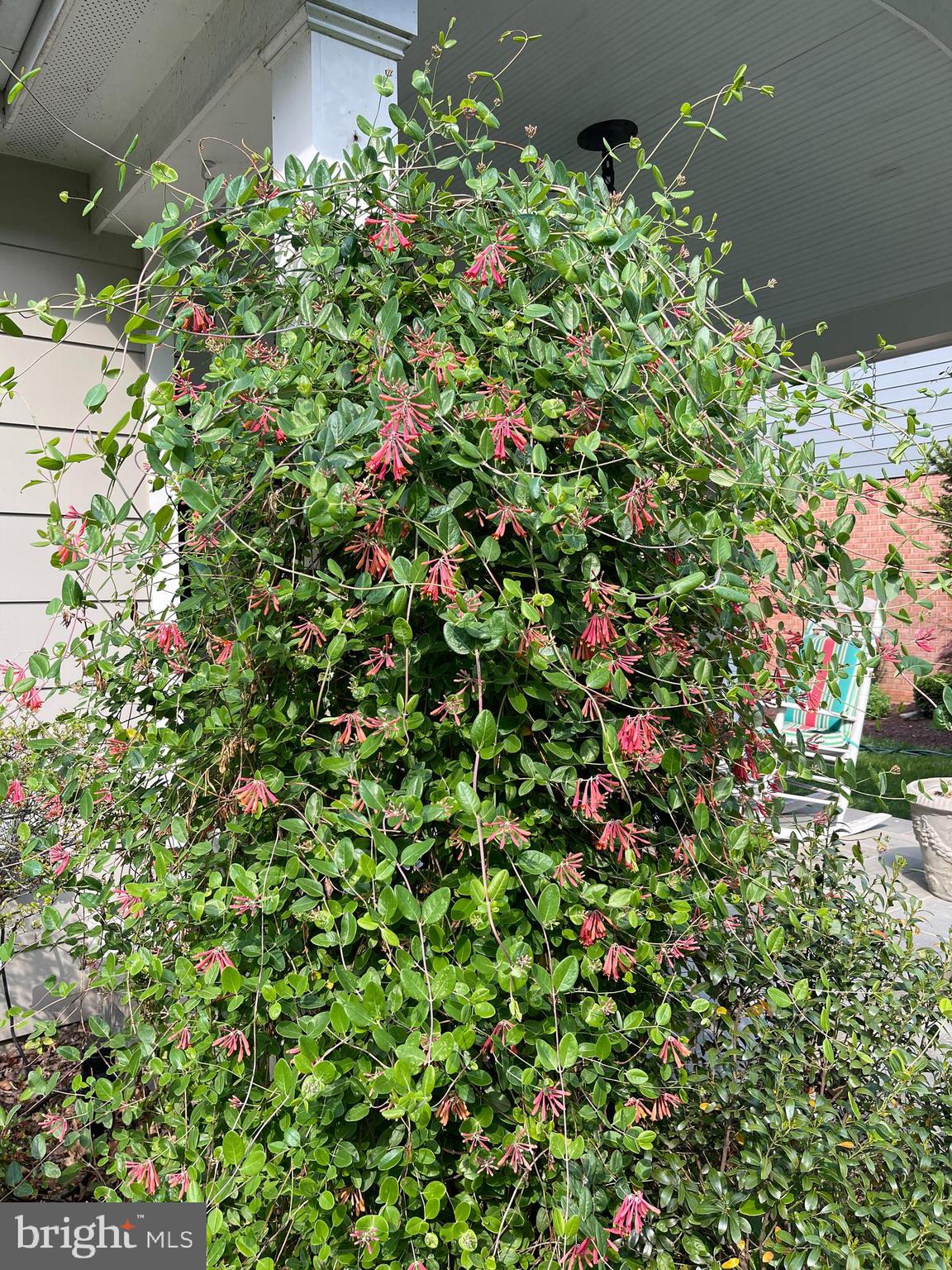 GARRETT PARK - Residential