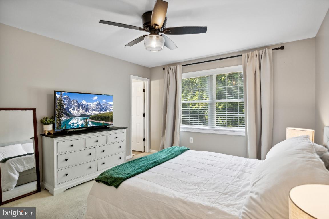 SHANNONDALE - Residential