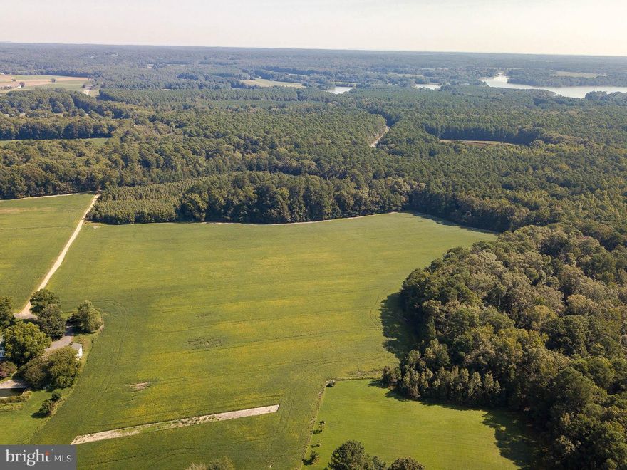 43 acres of land in tall timbers with an equal parts fields and woods.  Perfect site for farming, horses, or hunting.   This parcel has water views of the Potomac river and plenty of privacy.  Great place to use for recreation or just a private getaway.