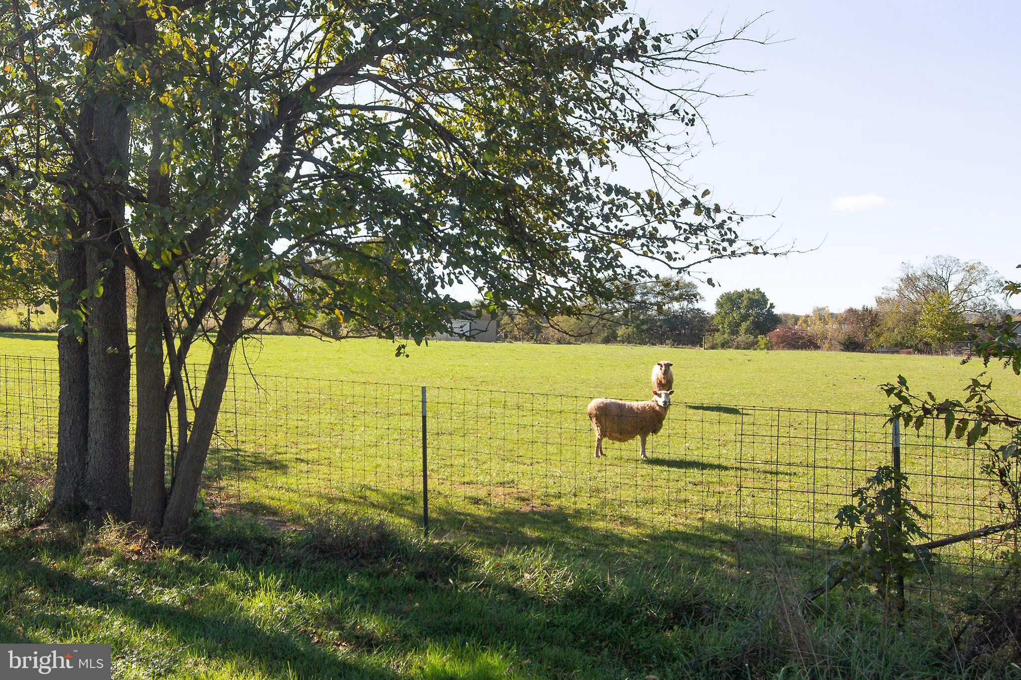 WAKEFIELD VALLEY - Residential