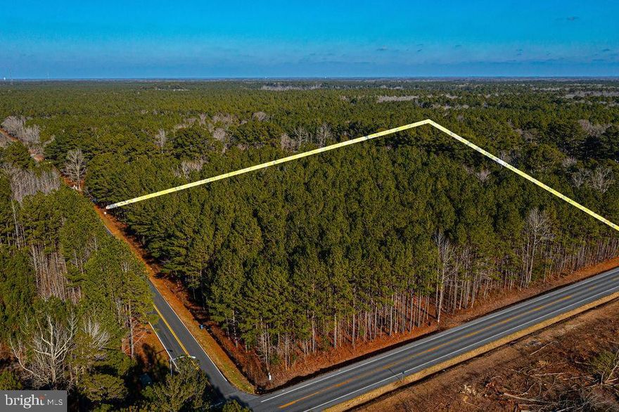 Now is your opportunity to own a beautiful piece of Eastern Shore acreage! Perc test has been completed and approved to build your dream home on nearly 6 acres of untouched land along the corner of Sixty Foot Road and Mt. Hermon Road. Enjoy the flexibility to create your ideal retreat — whether that includes a pool, pole barn, garden, or additional outdoor amenities. Conveniently located at the corner of Mt. Hermon and Sixty foot Rd., and just minutes from shopping and dining in Salisbury and a short drive to the beaches and bay of Ocean City, MD. Don’t miss this chance to make your vision a reality on this stunning property!