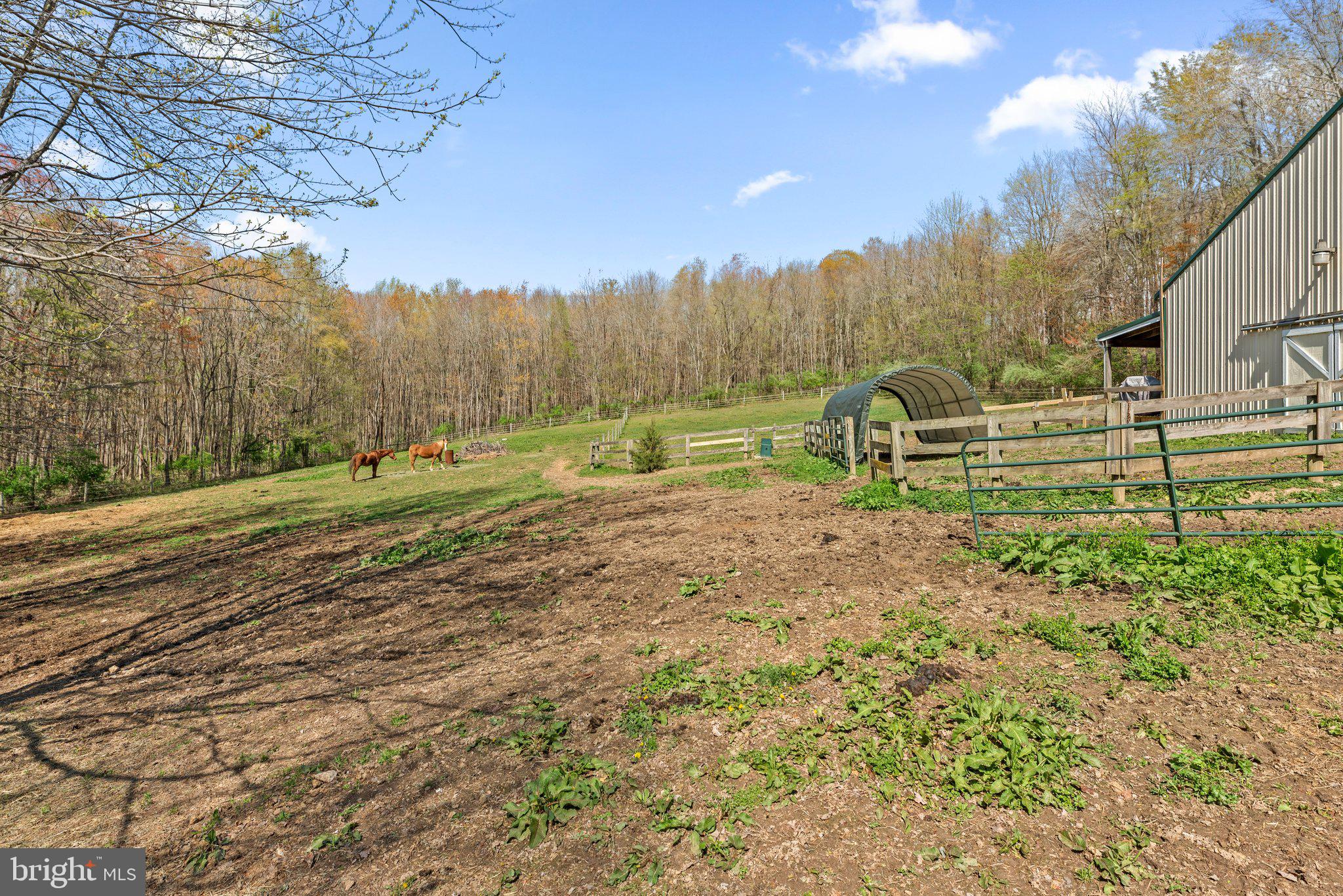 DAMASCUS OUTSIDE - Residential