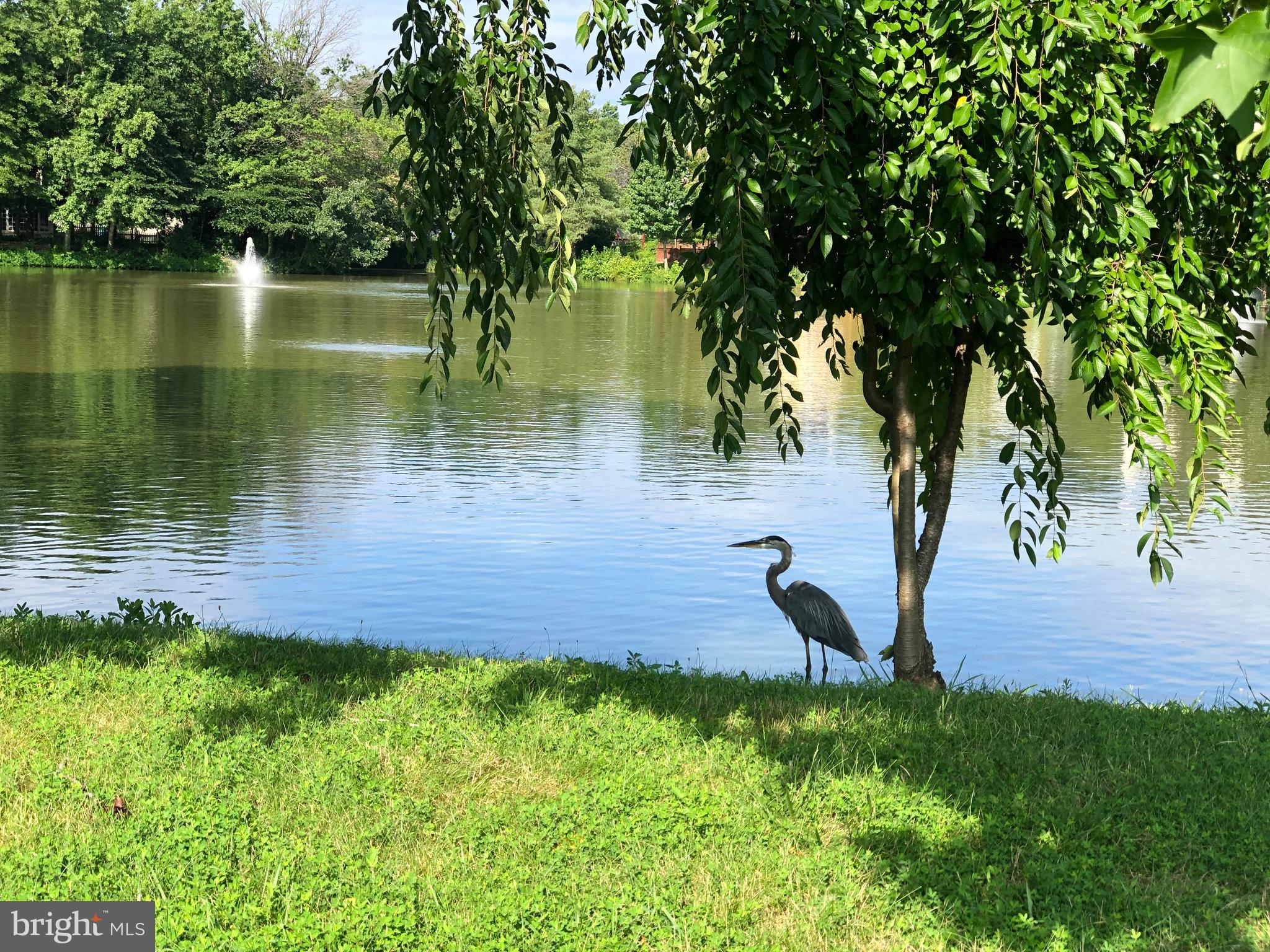 LAKE DEVEREUX - Residential