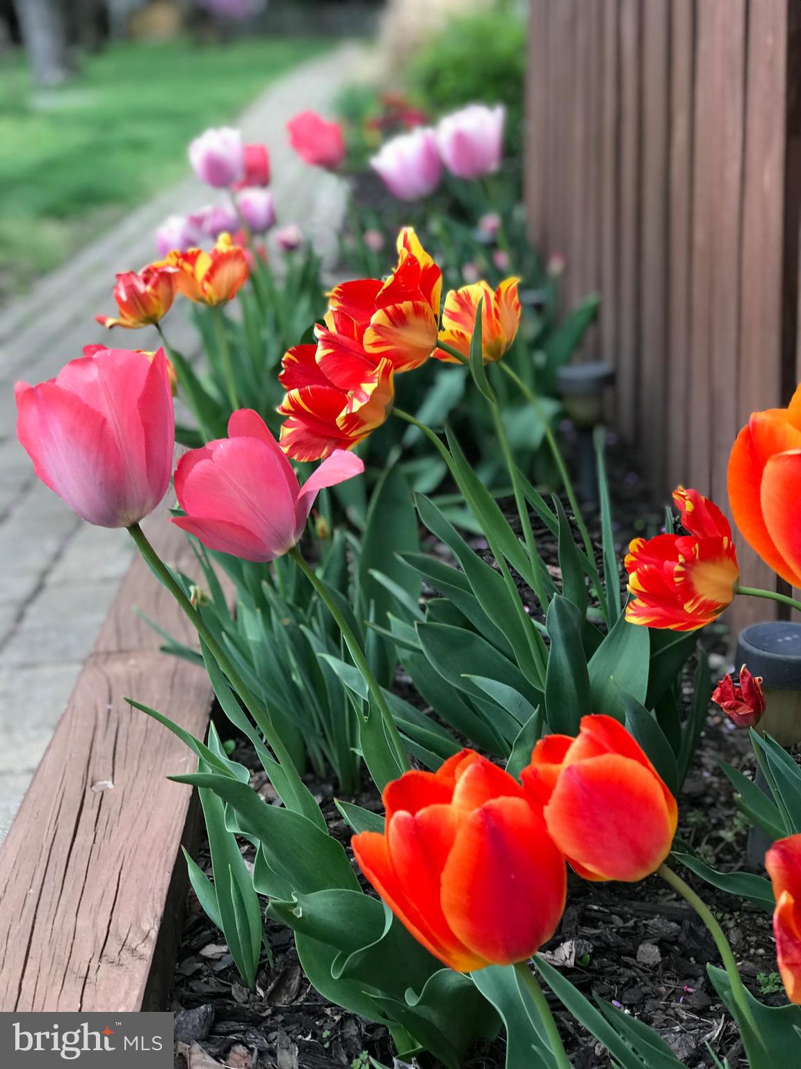 LAKE DEVEREUX - Residential