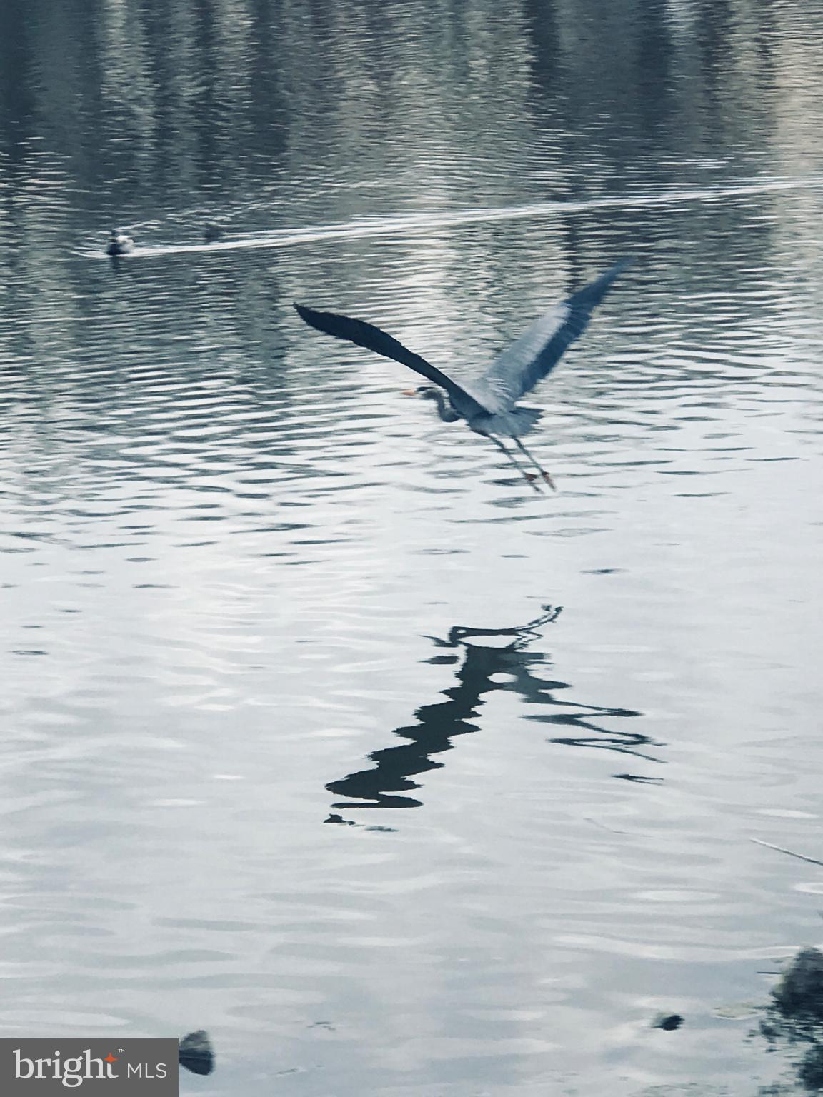 LAKE DEVEREUX - Residential