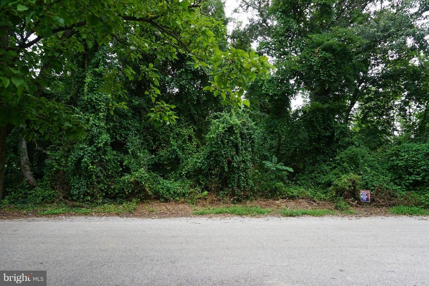 Rare opportunity for Severna Park lot in Manhattan Beach. Level .28 ace lot perfect for building the home of your dreams. Community offers 2 beaches, boat ramp access, club house and tot lot.