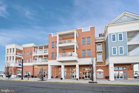 12001 OLD VINE BOULEVARD 302 LEWES DE 19958