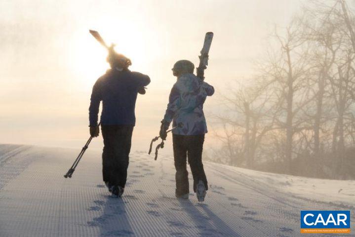WINTERGREEN RESORT - Land