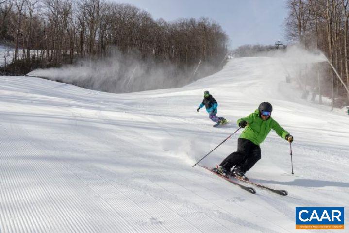 WINTERGREEN RESORT - Land