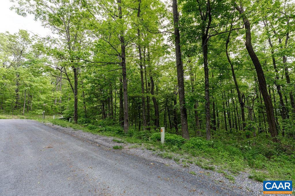 7 & 23 WOLFTRAP LN LOTS 52 & 53