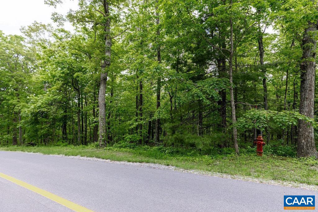 WINTERGREEN RESORT - Land