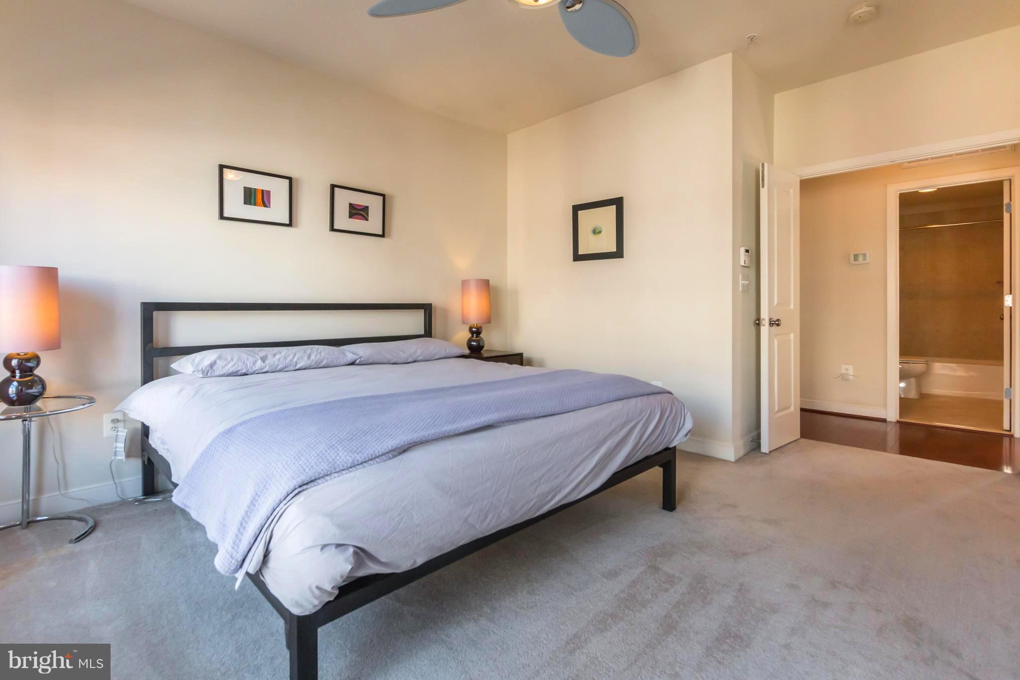 ARTS DISTRICT HYATTSVILLE - Residential