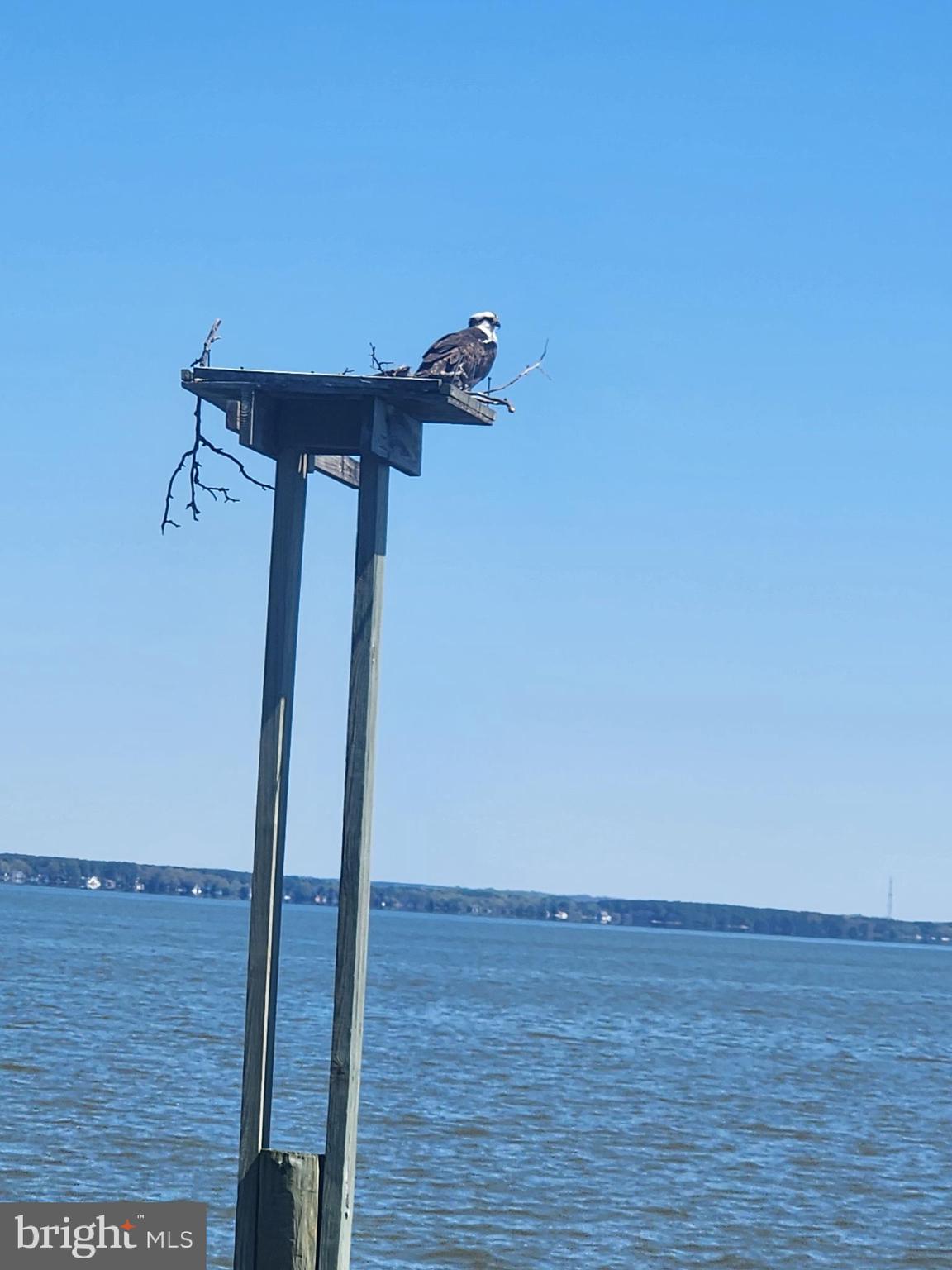 BLUFF POINT - Residential