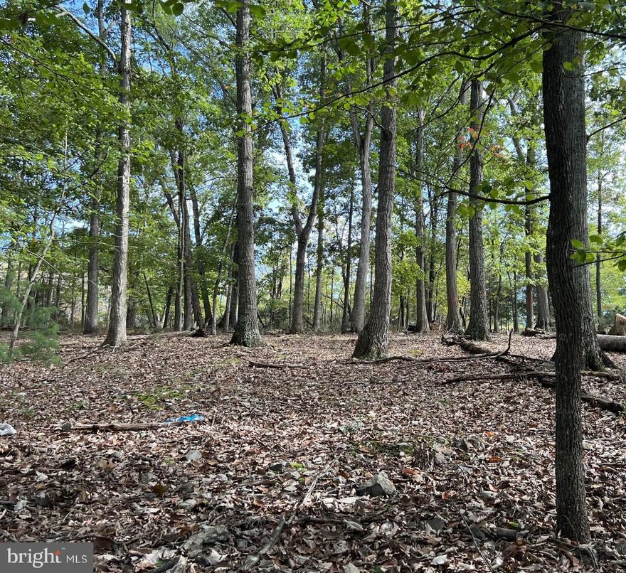 Have you ever thought that you'd love to have a place to enjoy weekend getaways or a property to build your dream home on?   Look no further.  This 2.98+/- acre lot is located in a great location where you feel off the beaten path but is also just a short drive to Winchester, Va or Moorefield, WV.   A septic system is already installed on the lot and electric is available.  The roads to the property are in good shape.  Just a few miles from thousands of acres of public hunting, fishing and hiking trails.  This is an ideal property for the outdoor enthusiast or someone looking for a getaway spot in wild and wonderful WV away from the hustle and bustle.