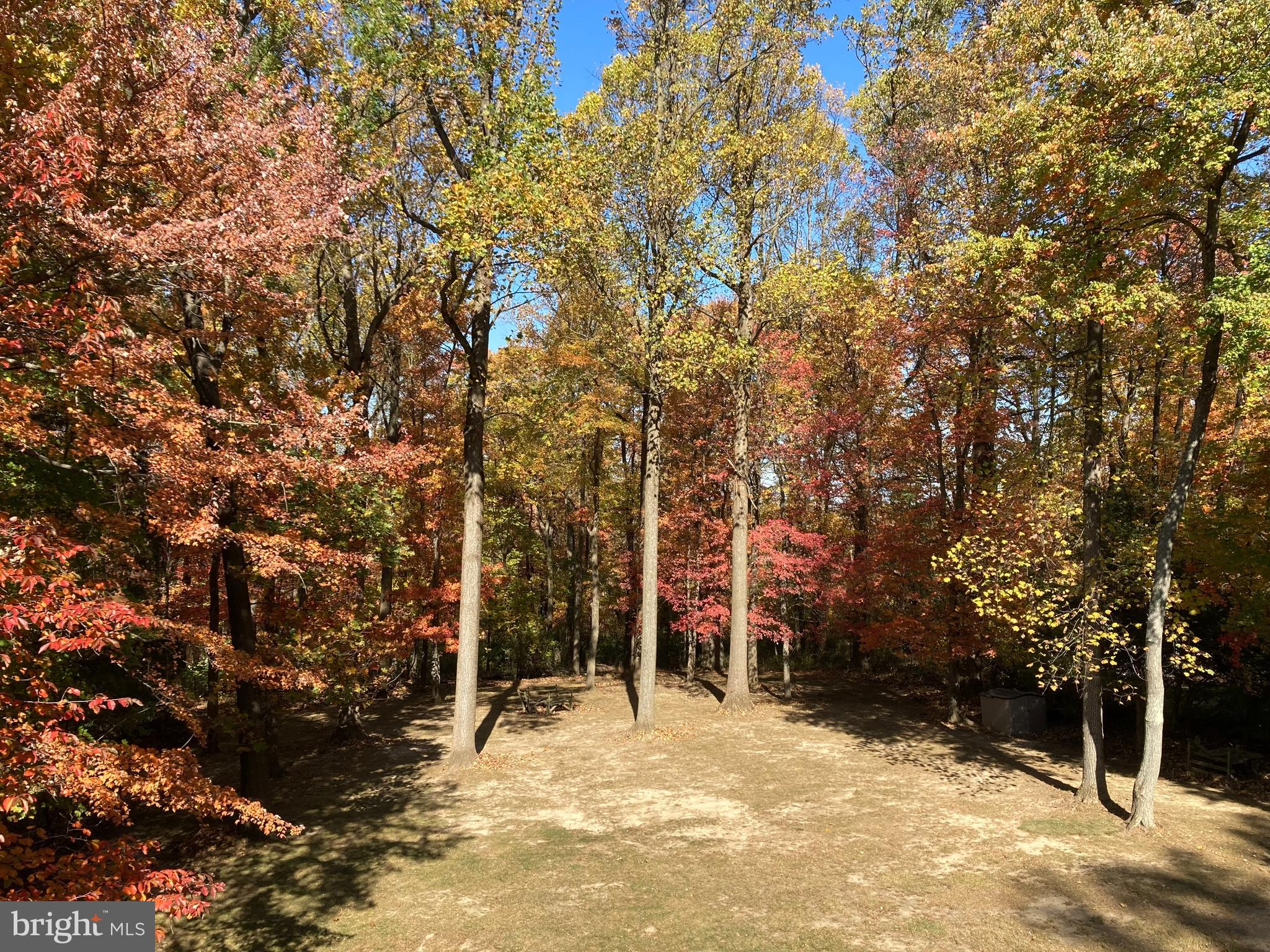 TARRENCOYD - Residential