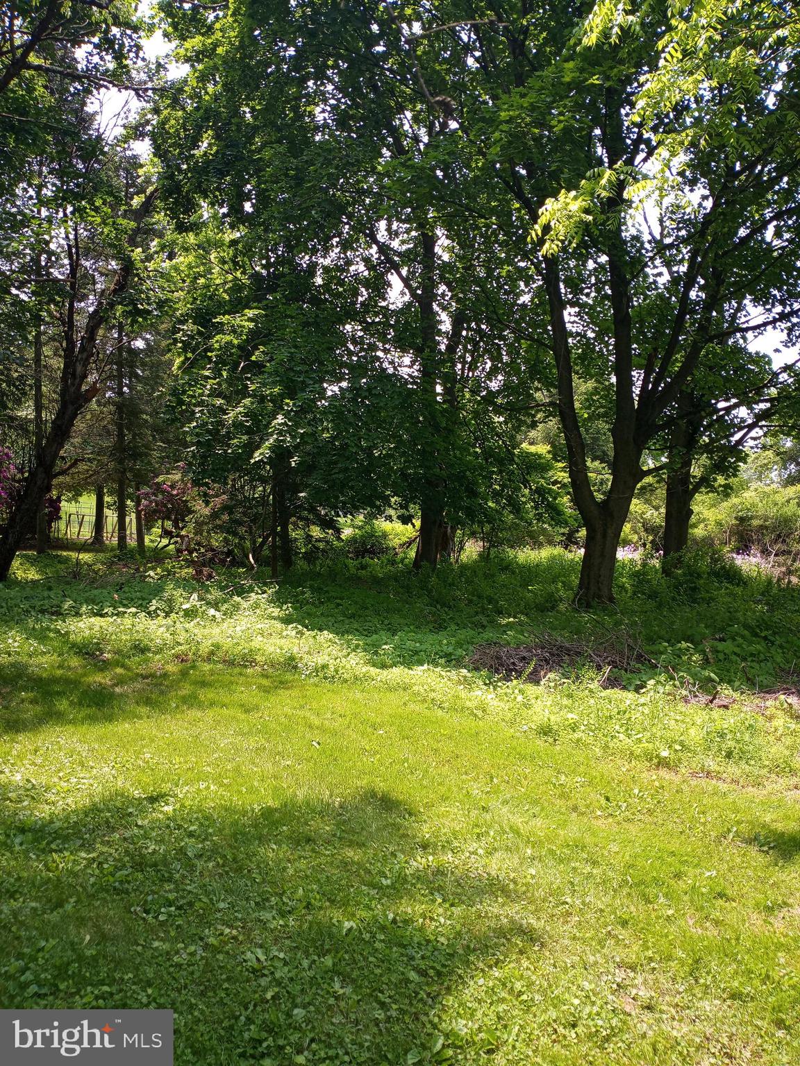 BOALSBURG - Residential