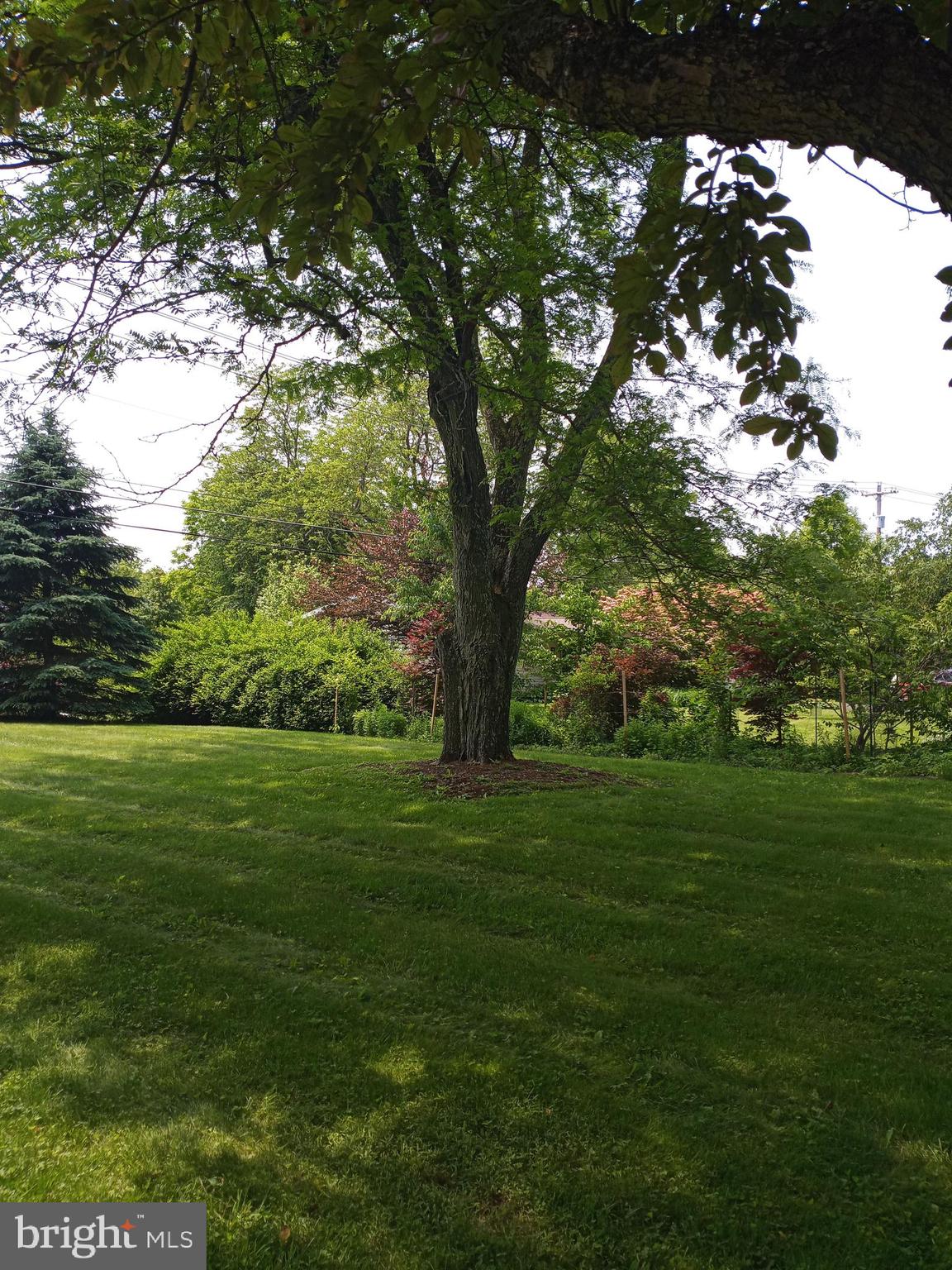 BOALSBURG - Residential