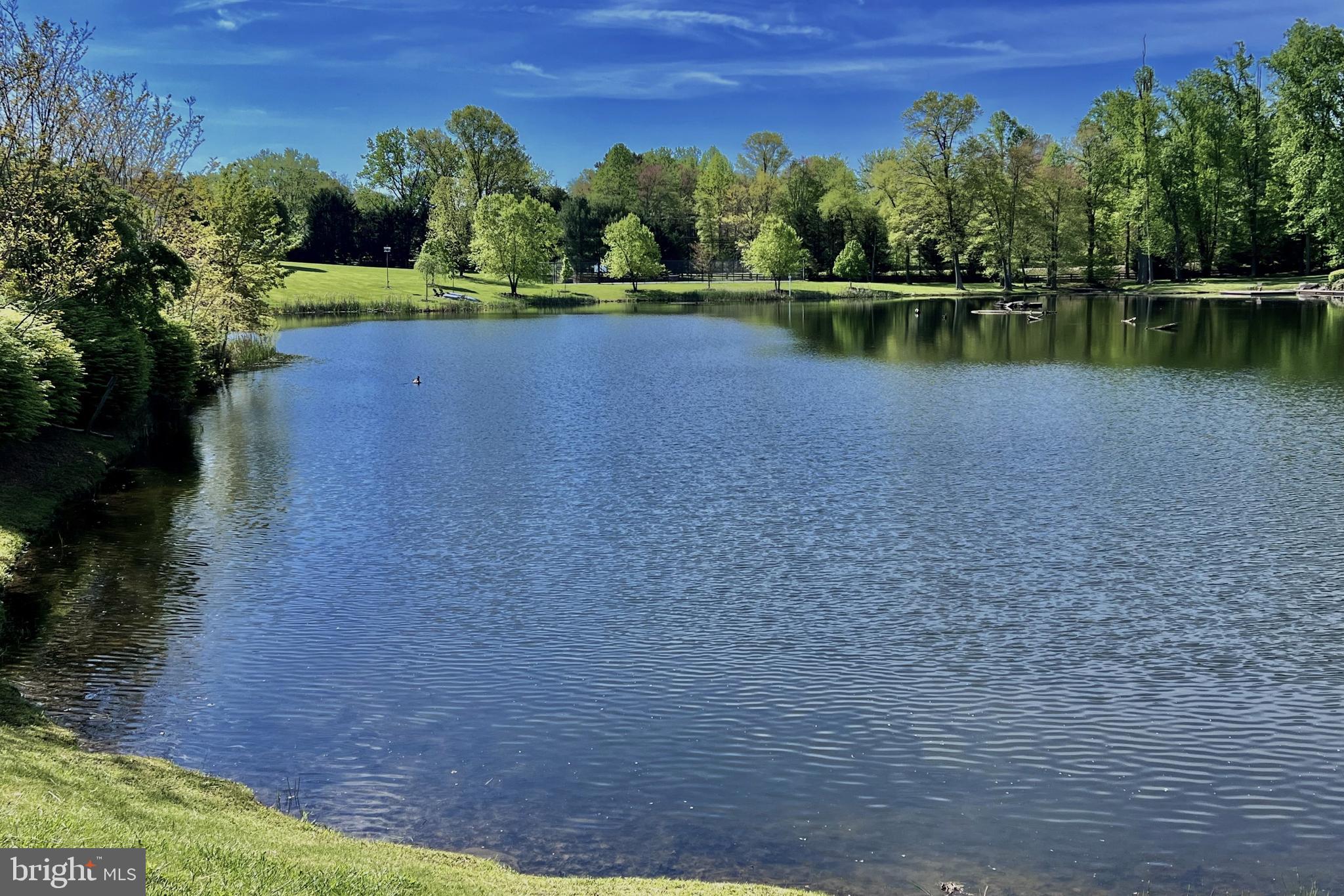 SHELTER LAKES - Residential