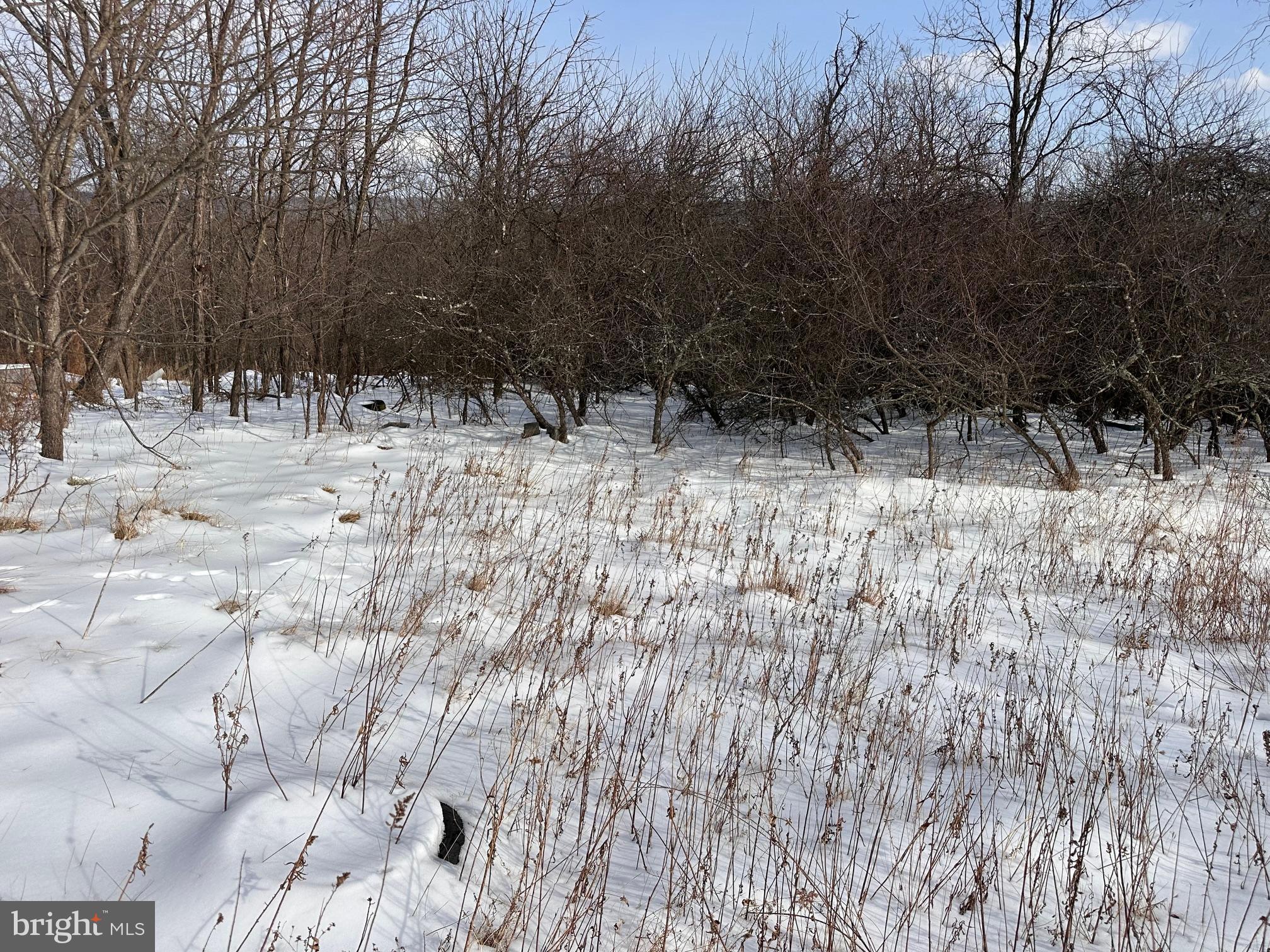 18.52AC WINCHESTER GRADE ROAD